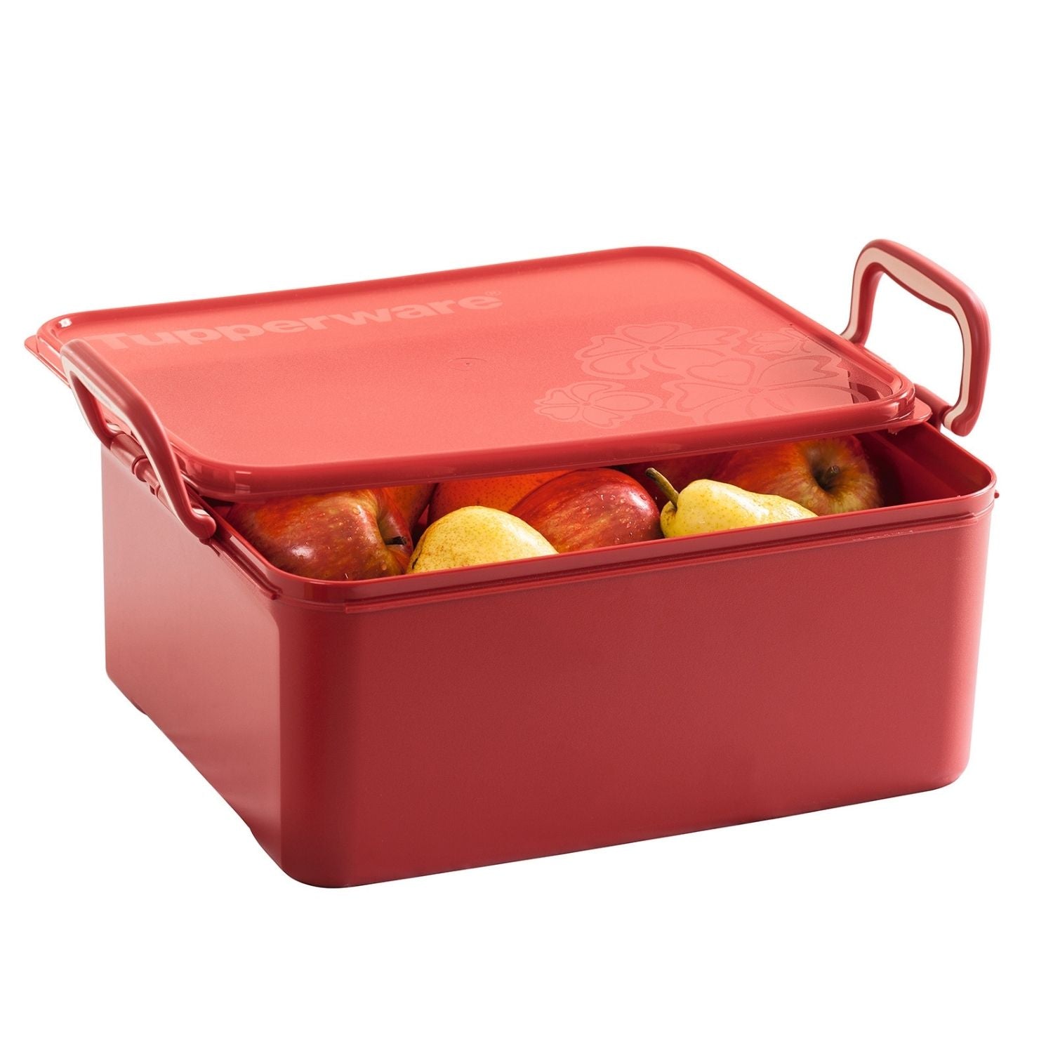 Caixa Organizadora Tupperware 9,4L